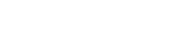 vega security LLC